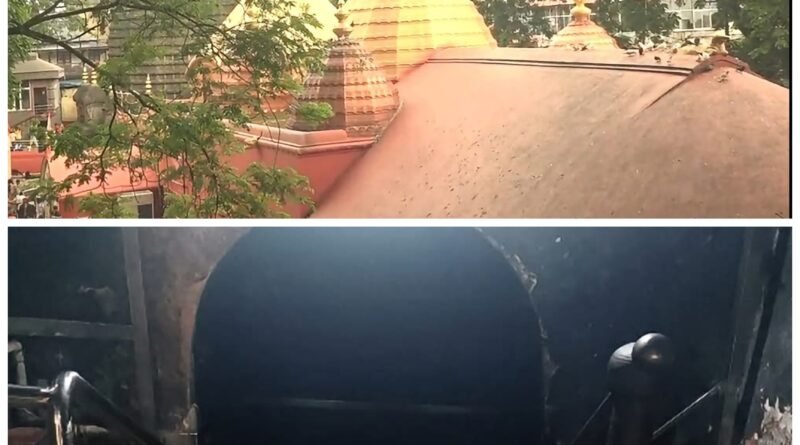 तंत्र के सबसे बड़े गढ़ और इसकी देवी मां कामाख्या देवी मन्दिर के बारे में सबसे जरूरी रिपोर्ट 🙏